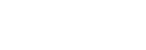 Dazed Ducks